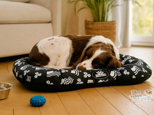 Matelas chauffante